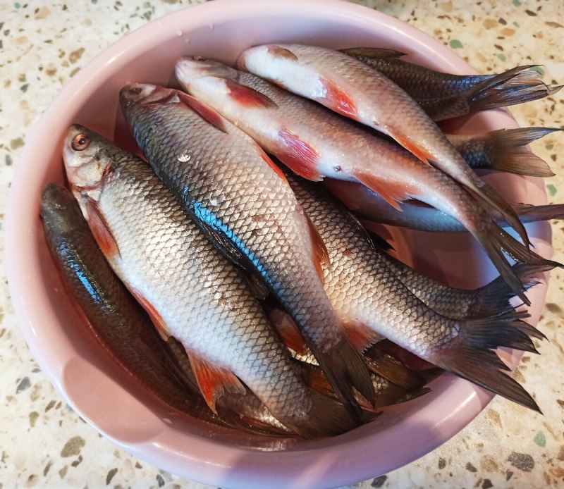 Чебак сорожка