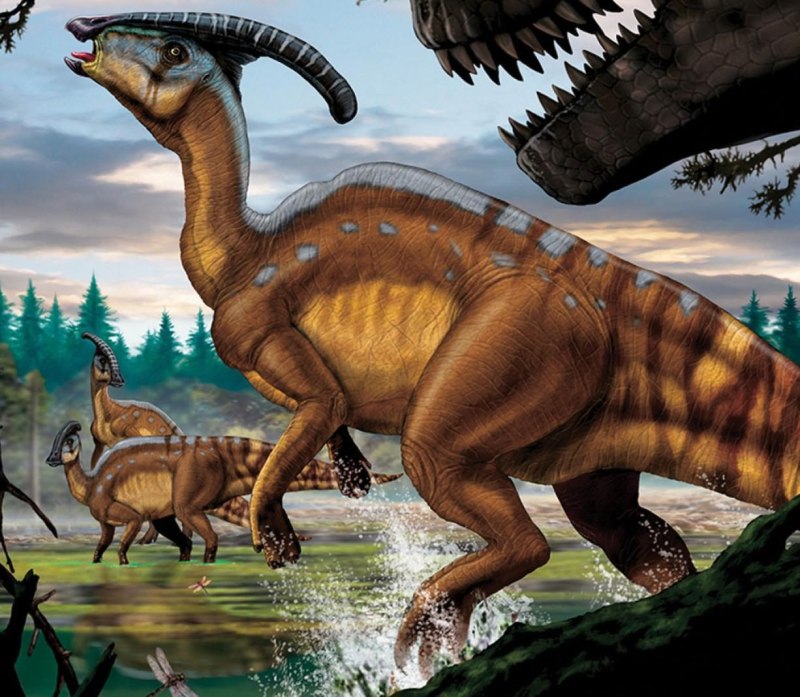 Паразауролоф (Parasaurolophus)