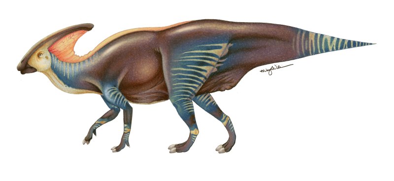 Паразауролоф (Parasaurolophus)