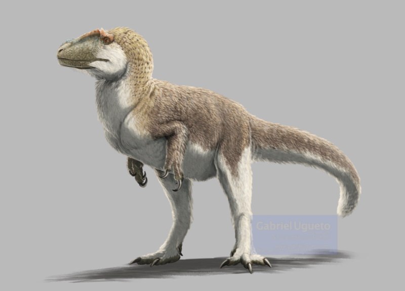 Yutyrannus Huali