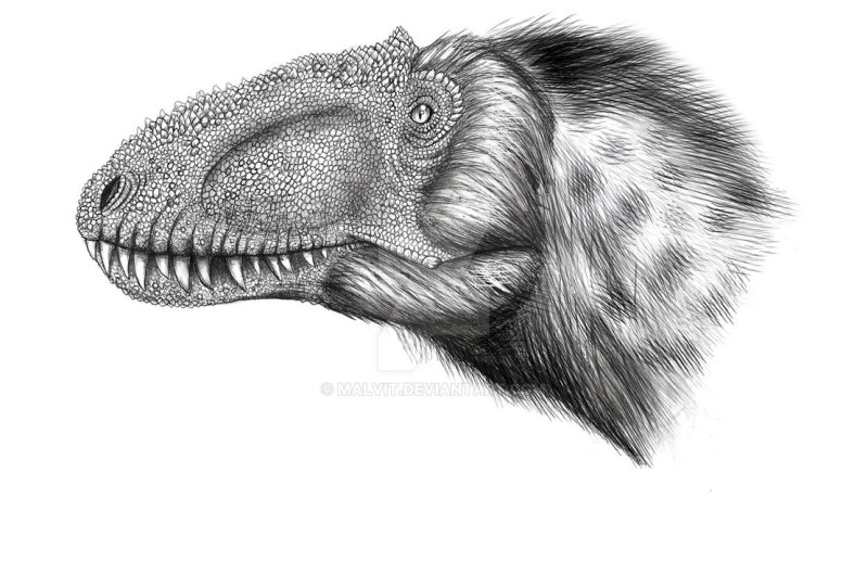 Yutyrannus Huali