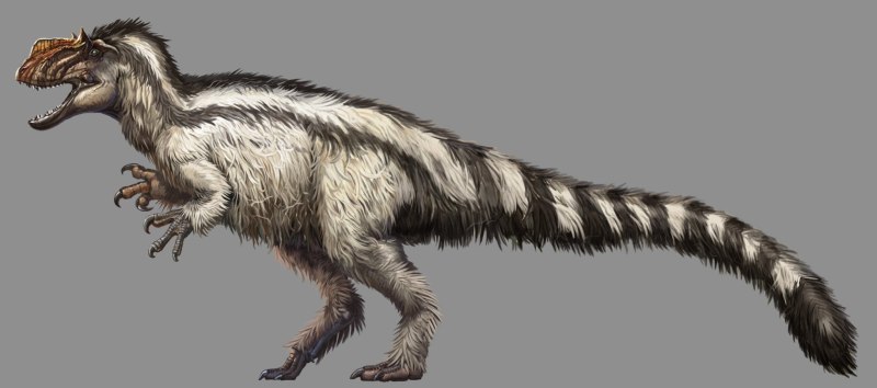 Suskityrannus HAZELAE