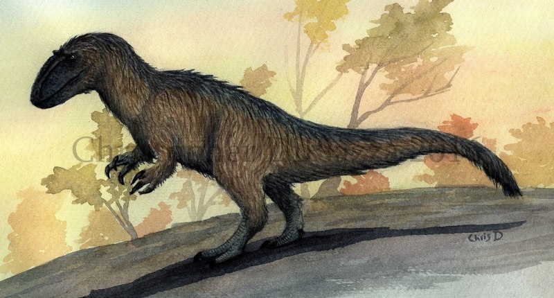 Yutyrannus Huali