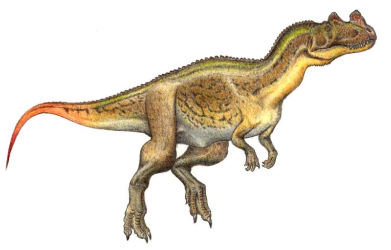 Ceratosaurus динозавр