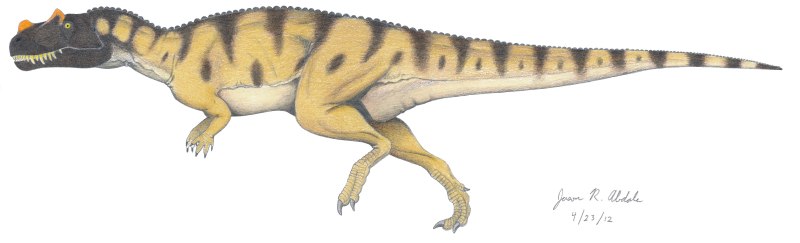 Ceratosaurus Dentisulcatus