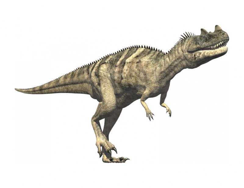 Ceratosaurus динозавр