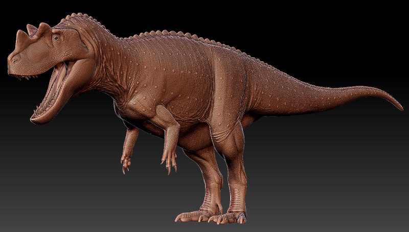 Ceratosaurus Dentisulcatus