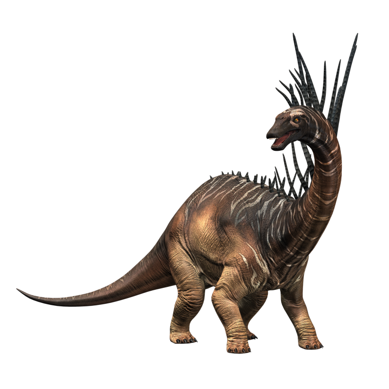 Bajadasaurus pronuspinax