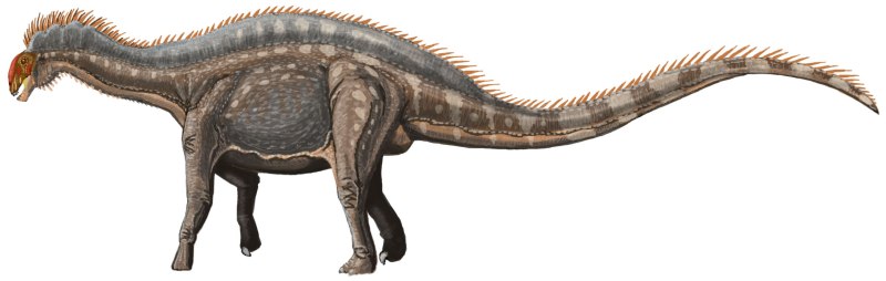 Rebbachisaurus garasbae