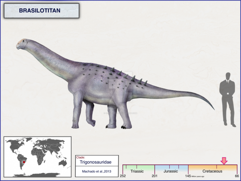 Stegopelta