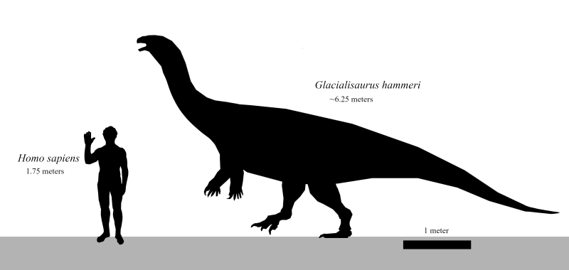 Glacialisaurus
