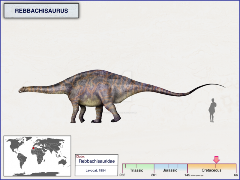 Rebbachisaurus garasbae