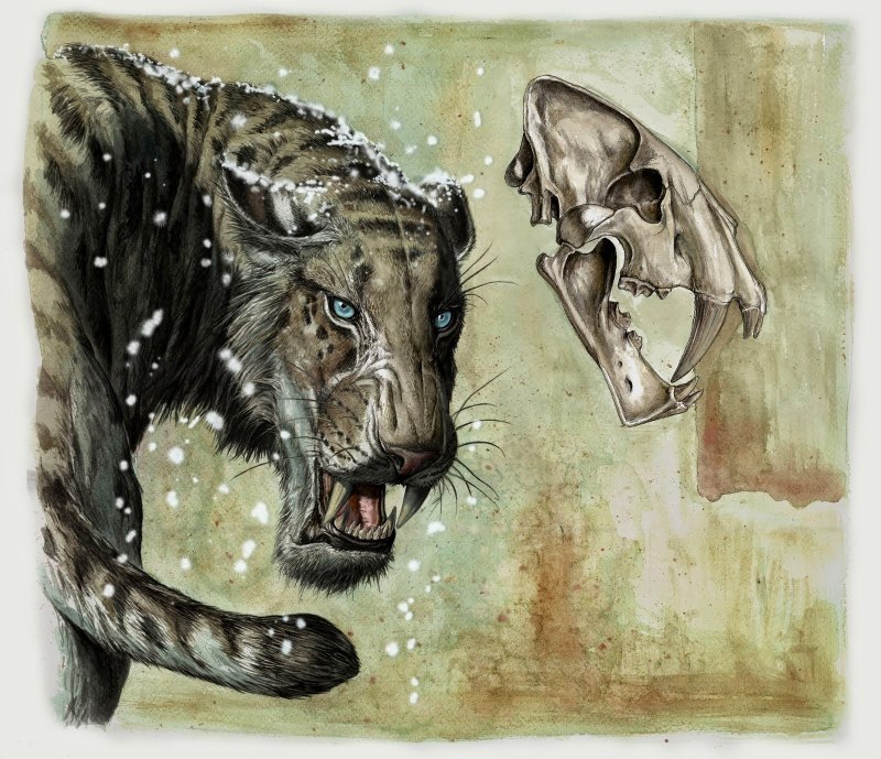 Homotherium crenatidens