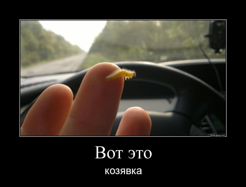 Козявка прикол