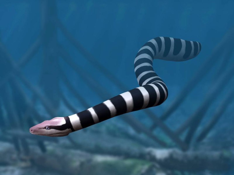 Palaeophis змея