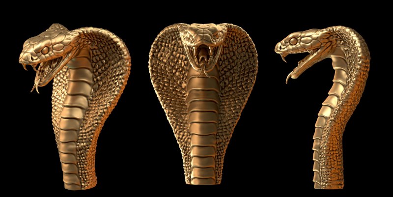 Cobra 3d model