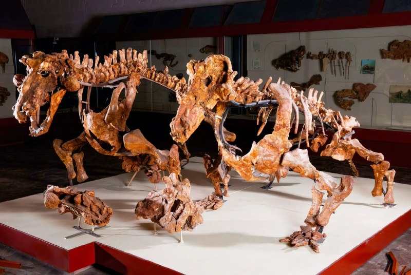 Estemmenosuchus uralensis