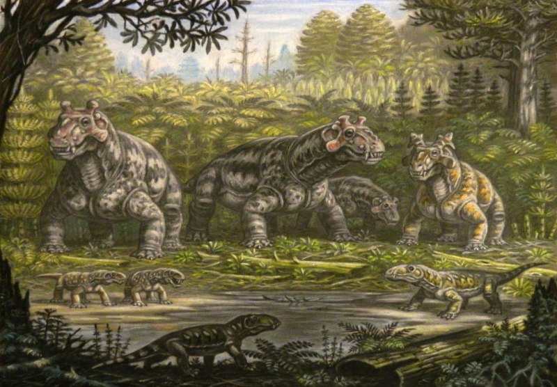 Estemmenosuchus uralensis