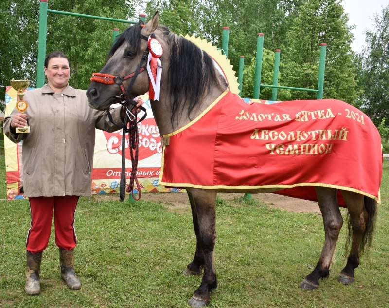 Лошади в Удмуртии