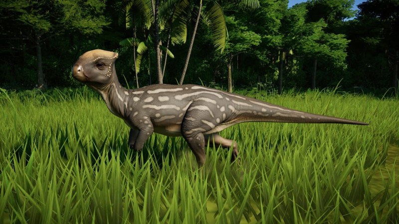 Гомалоцефал Jurassic World Evolution 3