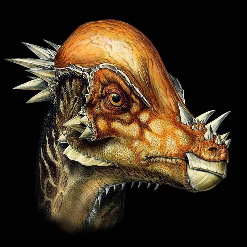 Pachycephalosaurus динозавр