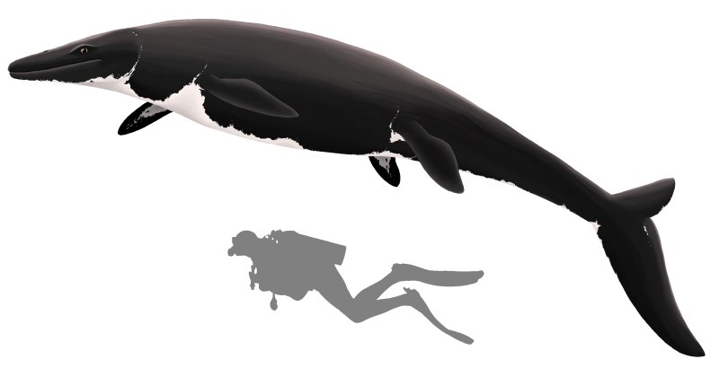 Рамфозух (Rhamphosuchus crassidens)