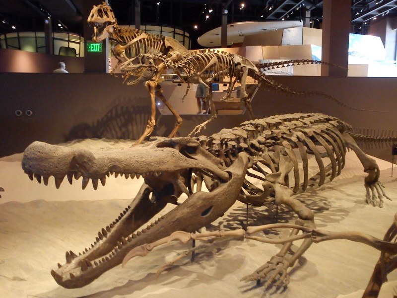 Дейнозух (Deinosuchus)