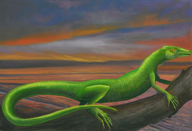 Thadeosaurus colcanpi