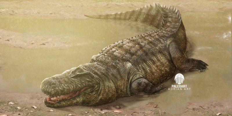 Purussaurus Brasiliensis