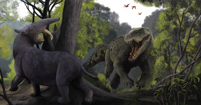 Barinasuchus arveloi