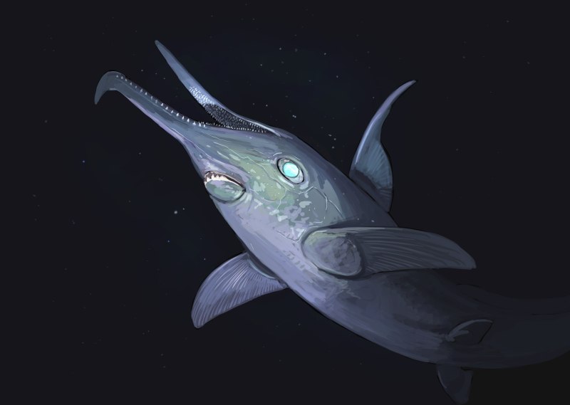 Metopacanthus granulatus
