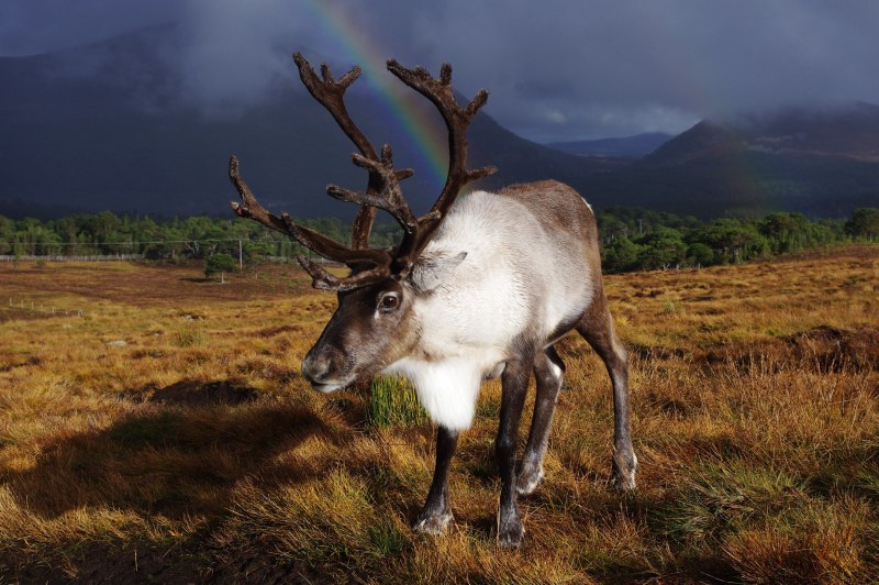 Cairngorms National Park