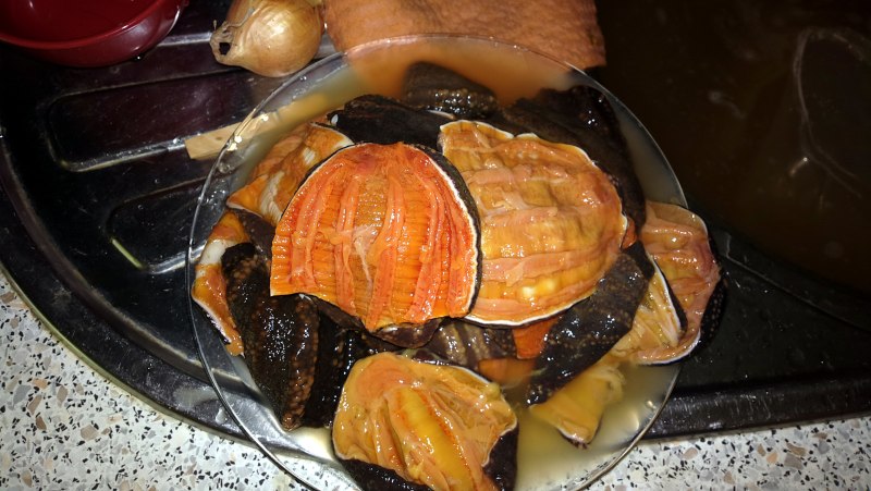 Кукумария разделанная