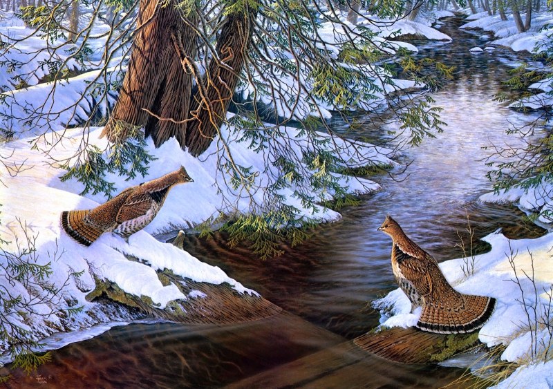Sam Timm американский художник