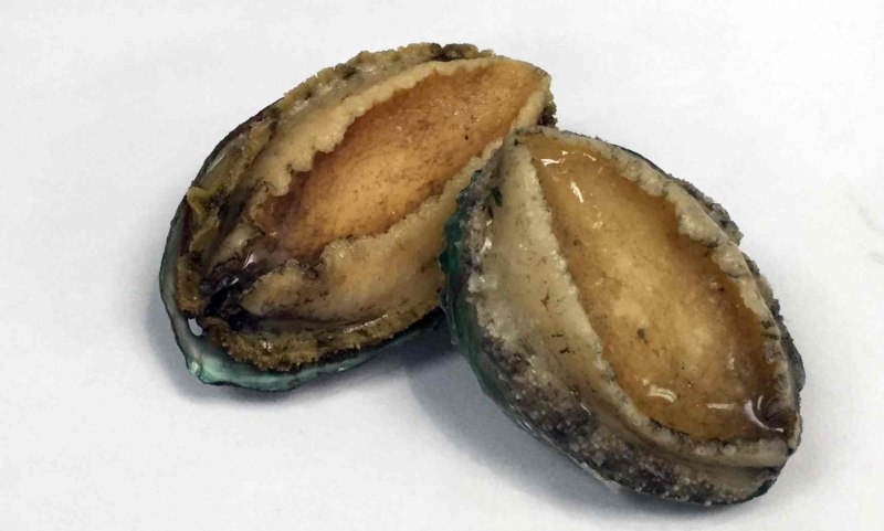 Морские ушки абалон