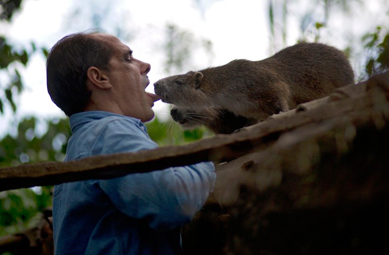 Some people keep Monkeys as Pets.картинки