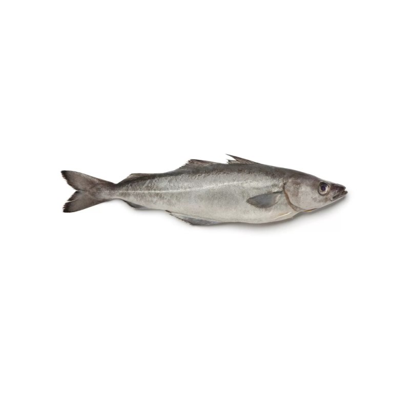 Alaska Pollock рыба