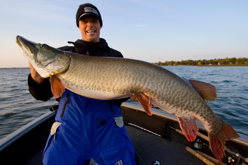 Giant Muskie