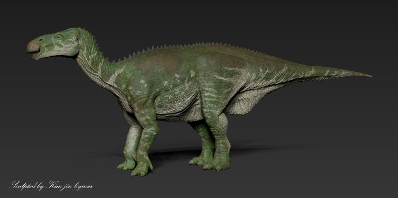 Iguanodon bernissartensis