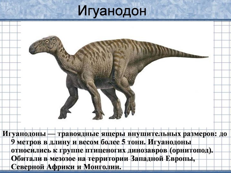 Ихтиозавр Игуанодон