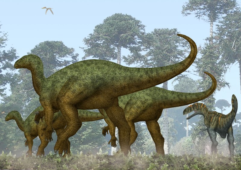 Iguanodon bernissartensis