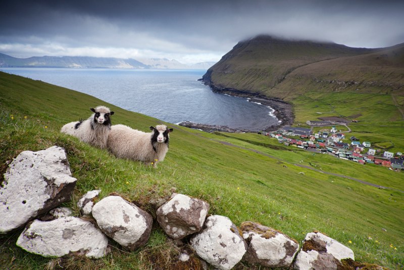 Фарерские острова (Faroe Islands), Дания