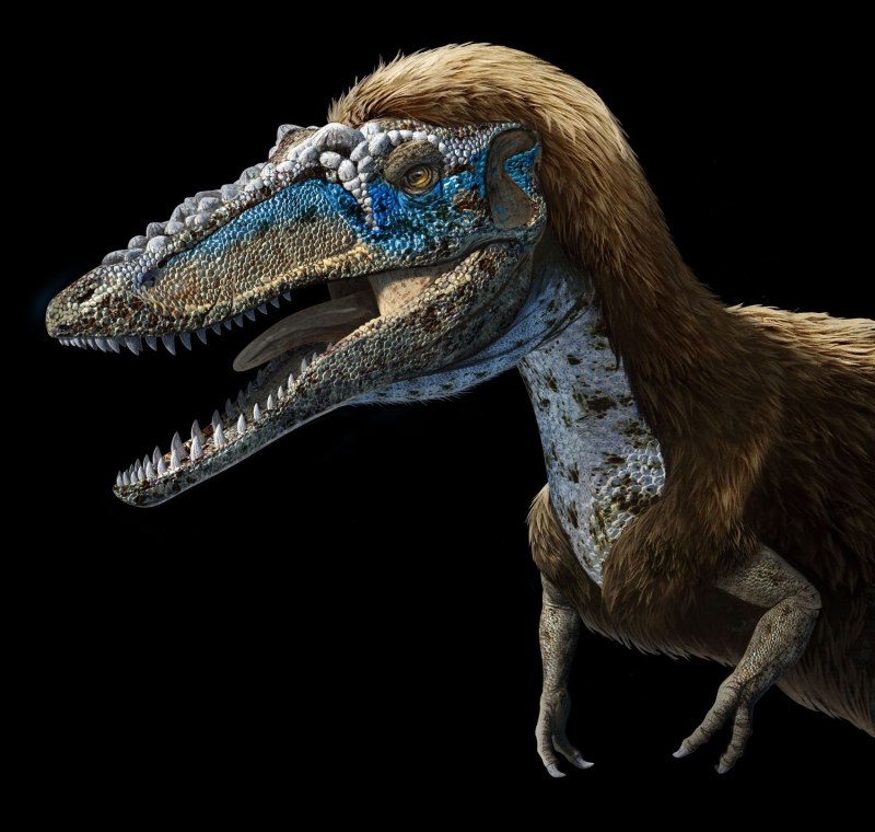 Qianzhousaurus sinensis