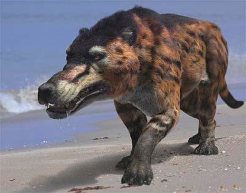 Andrewsarchus mongoliensis