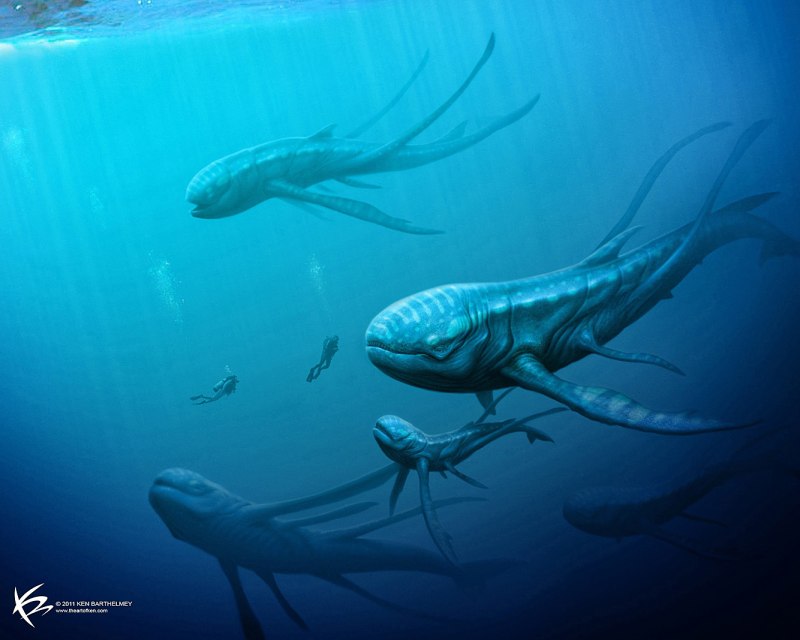 Фантастические морские животные
