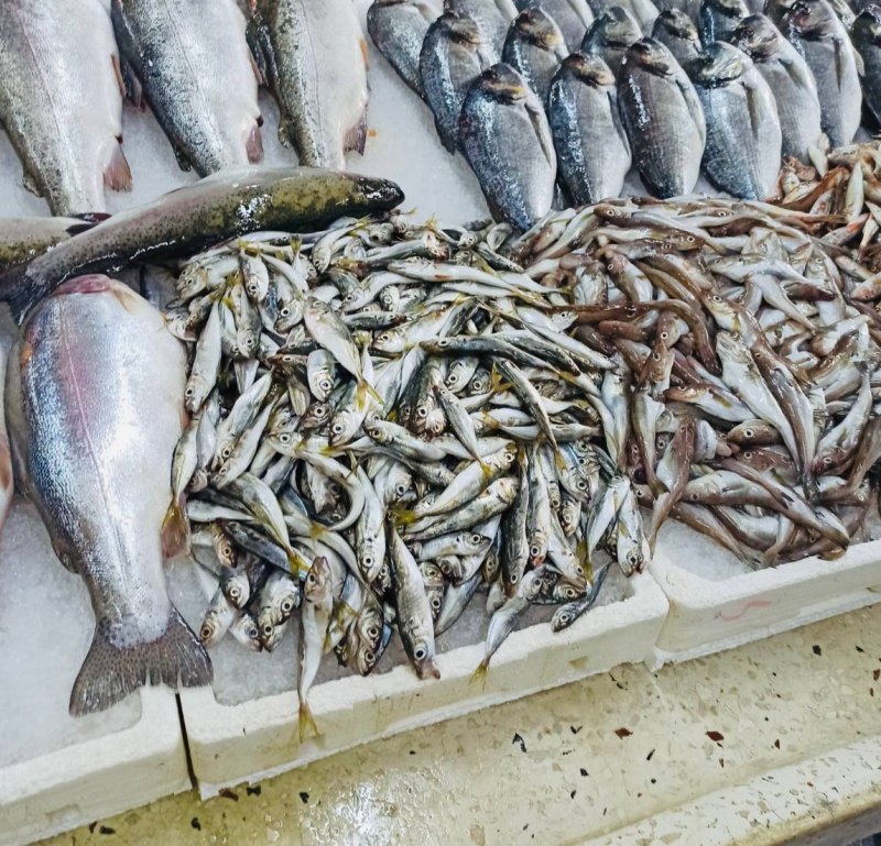 Рыба в Грузии