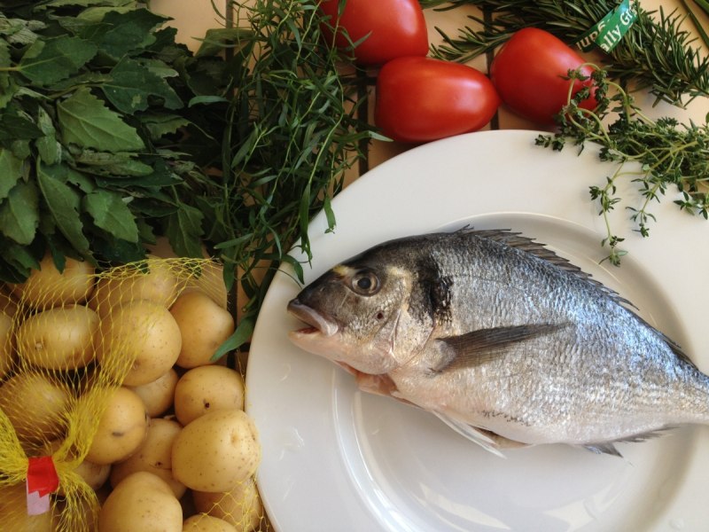 Морской карась дорадо