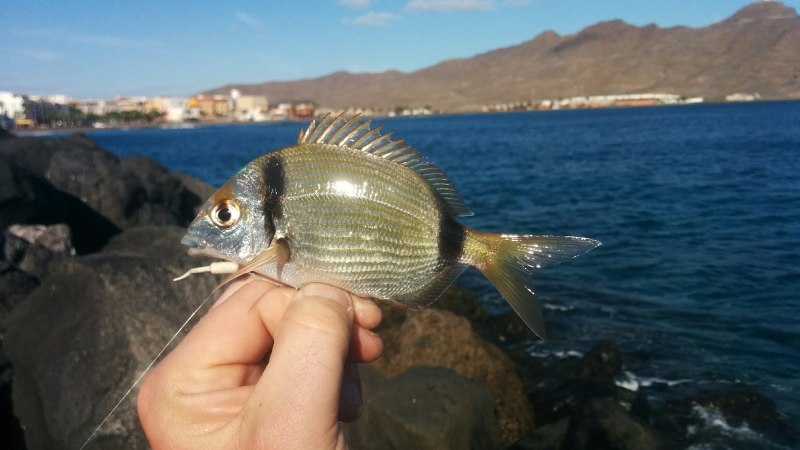 Ласкирь Азовское море