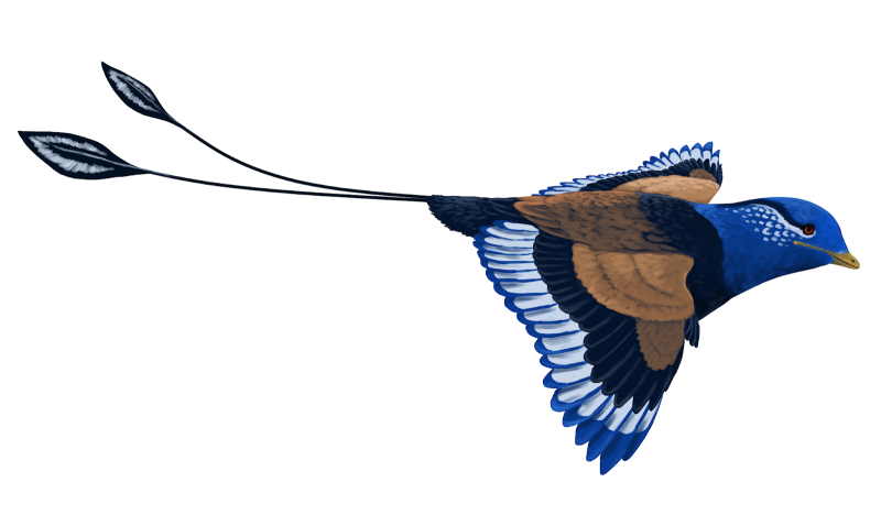Вескорнис. Vescornis hebeiensis.