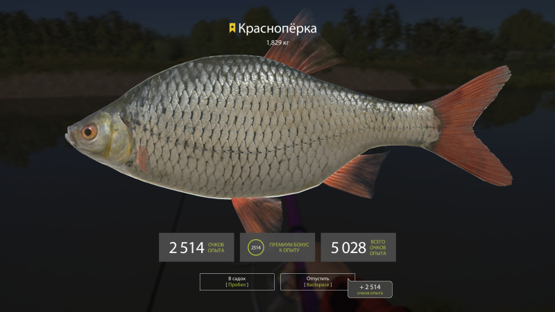Чебак красноперка